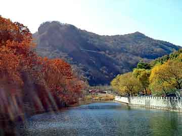 新澳天天开奖资料大全旅游团，经典都市异能小说